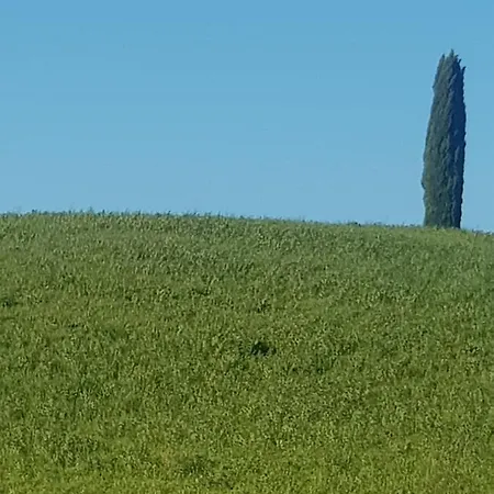 Palazzetto Del Pittore Bed & Breakfast *