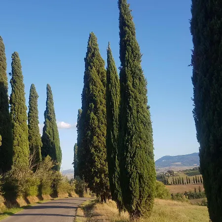 Palazzetto Del Pittore Bed & Breakfast