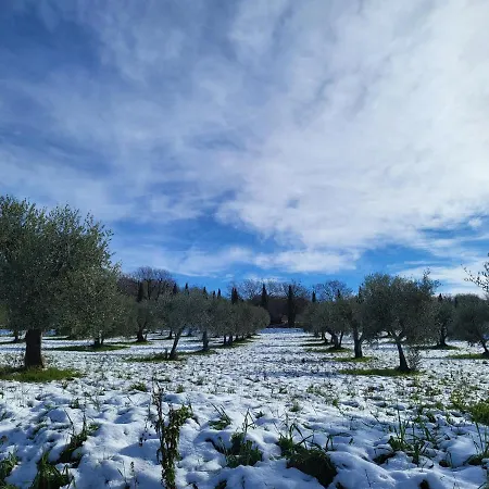 Bed & Breakfast Palazzetto Del Pittore In 3*