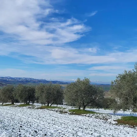 Palazzetto Del Pittore In San Quirico d'Orcia
